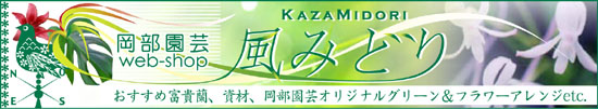 kazamidori_o.jpg