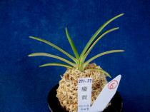 keiga11824-61.JPG