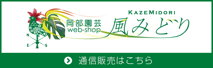 岡部園芸Webshop 風見鶏