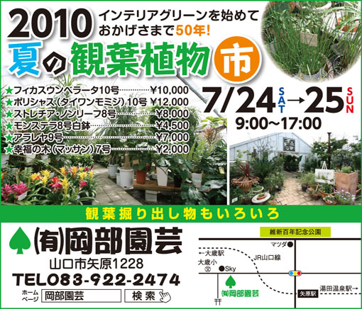 green-market100725.JPG