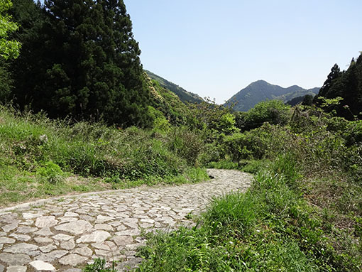 hagi-oukan150505-2.jpg