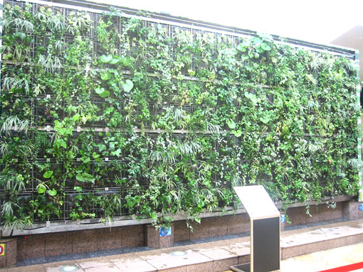 loc-greenwall-a090821-2.JPG