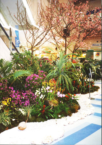 mall-springdp-sakura.jpg