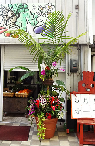 manirayashi-arenge170501.jpg