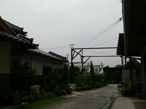 nissyoku090722.JPG