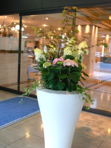 nt-ajisai090516-1.JPG