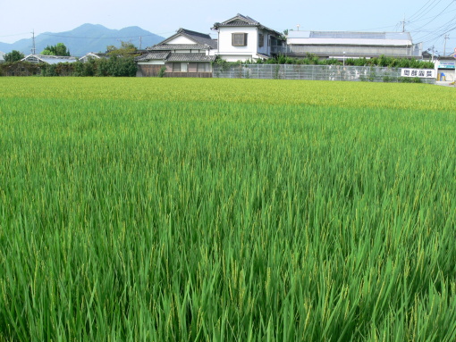 okabeeng-fuukei080805-32.JPG