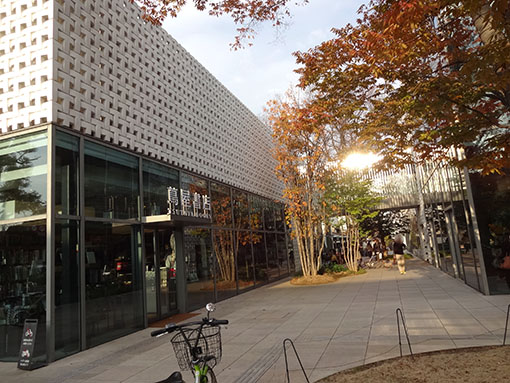 tsutaya-daikanyama141210.jpg